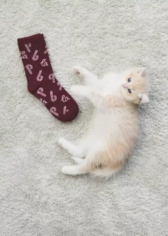 2 pary skarpetek z nadrukiem świątecznym