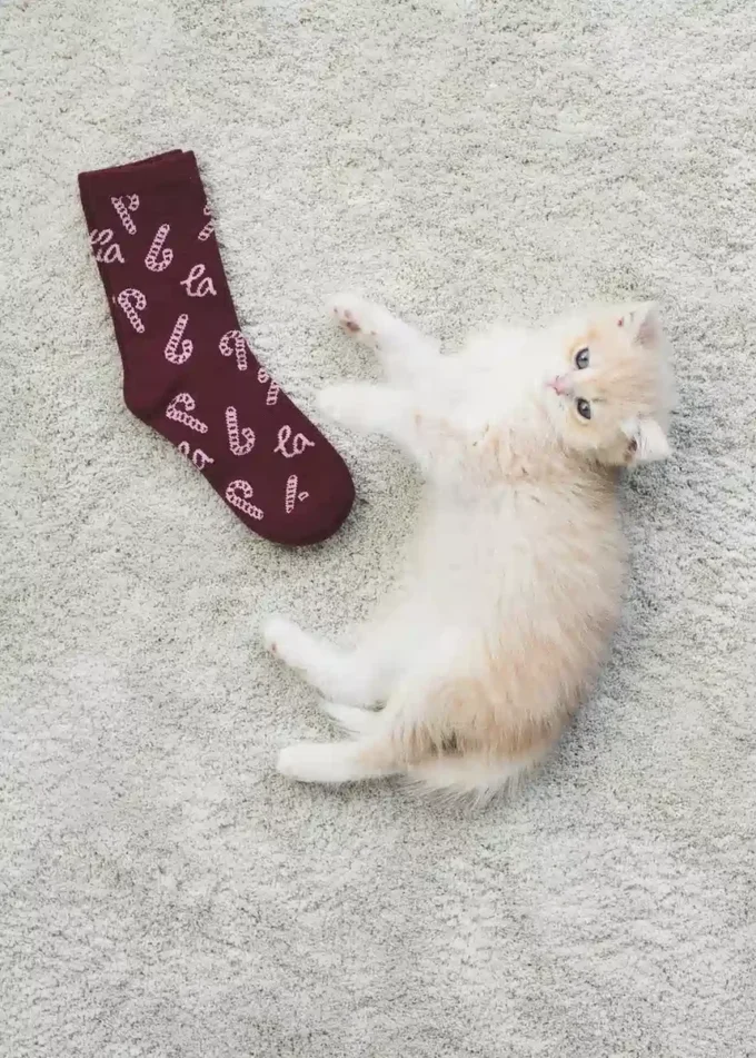 2 pary skarpetek z nadrukiem świątecznym 2 pary skarpetek z nadrukiem świątecznym