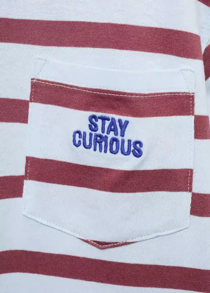 Koszulka w paski z haftowanym detalem Koszulka w paski z haftowanym detalem