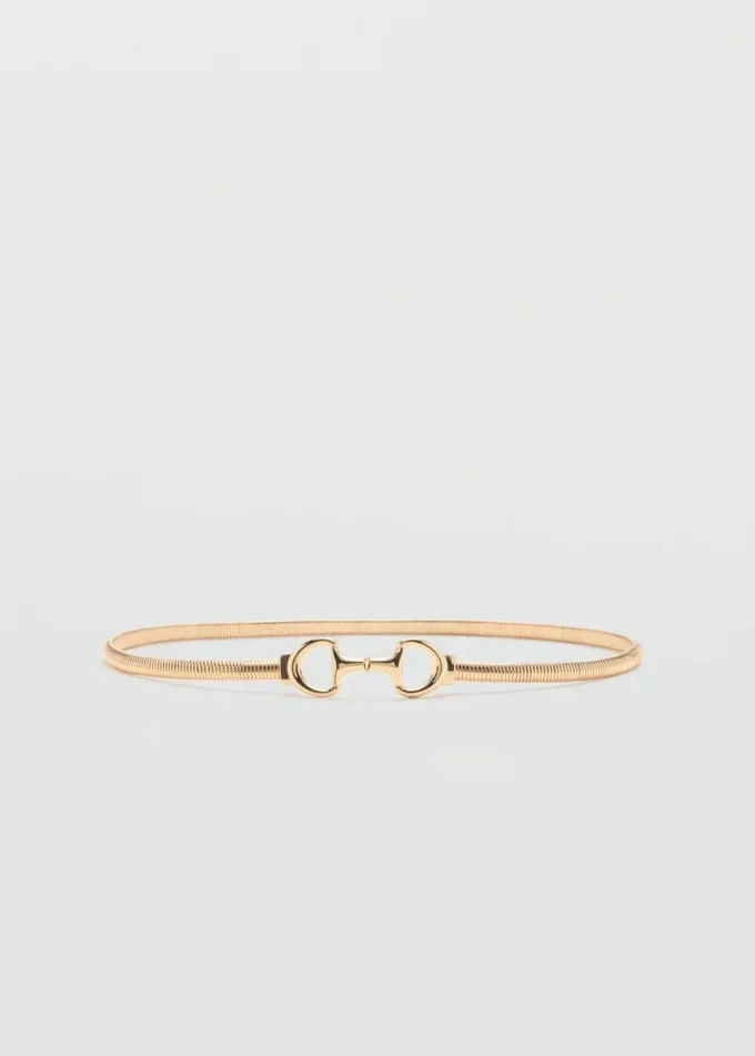 Pasek z ogniwami Pasek z ogniwami