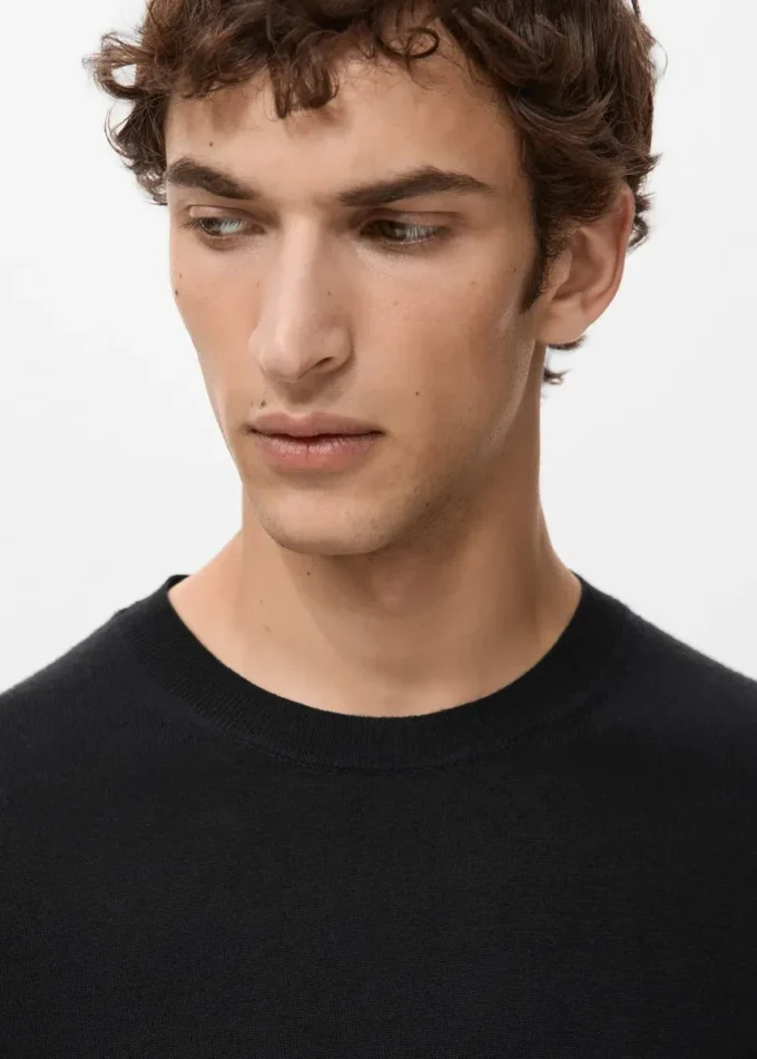 Sweter z okrągłym dekoltem, 100% wełna merynosowa Sweter z okrągłym dekoltem, 100% wełna merynosowa