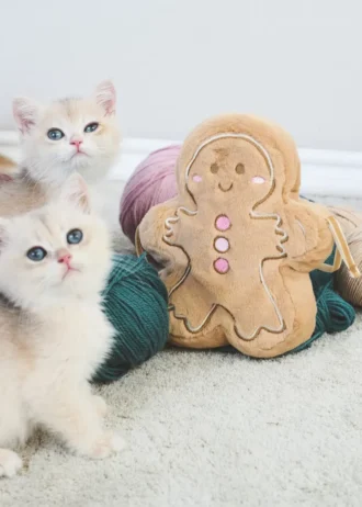 Torba na pierniki Torba na pierniki